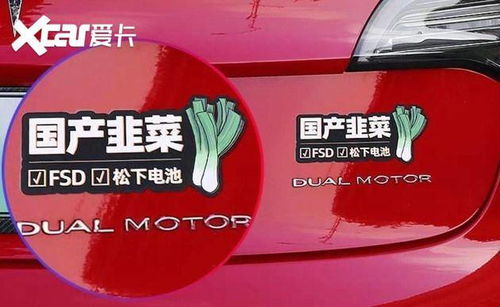 【天降福利】直播抽特斯拉！留言"期货之家yyds"参与