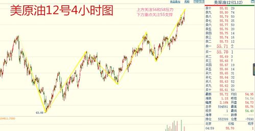 《“华富之声”期货实战直播：不止于喊单，更教你如何分析黄金原油与全球股指》