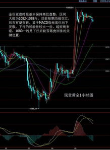 黄金价格在高位区间盘整，黄金买在高位怎么办