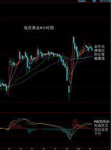 黄金期货直播室_国际金价实时趋势与操作建议