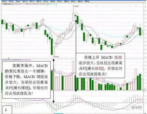《交易现场直击：跟随机构交易员一起盯盘，学习专业盘面分析方法》
