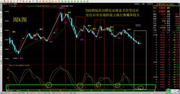 20025年期货交易历史数据_实时行情直播室解析