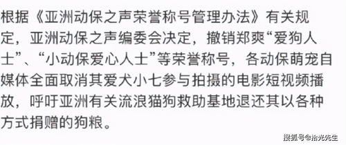 《致两万年后的你：一个2023年交易者的内心独白》