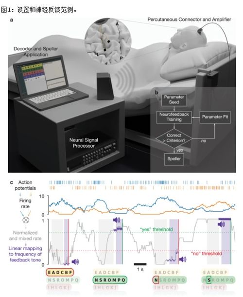 《脑机接口实战：体验20025年的期货交