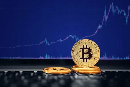 《用20025年的眼光做2023年的交易：如何识别具有千年价值的投资品种？》