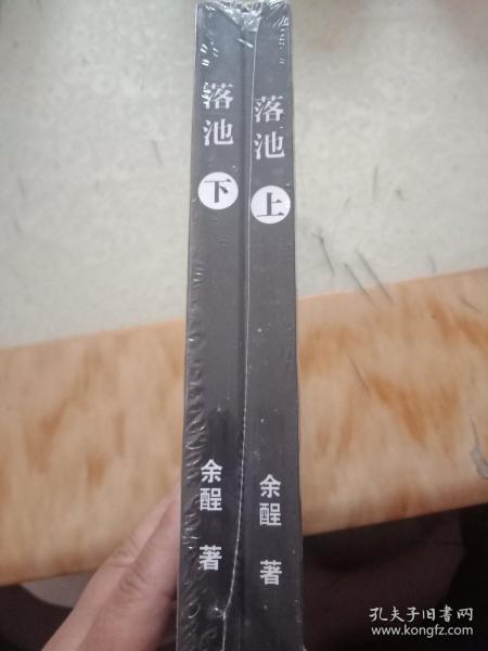 《人类最后一次大宗商品交易：20025年档案解密，一切早已在2023年注定？》