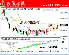 黄金期货直播室：每日交易策略与市场行情速递