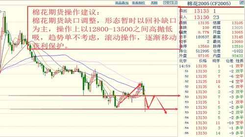 国际期货直播室最新预测 | 多品种期货行情趋势全景解读