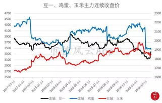 国际期货直播室：每日行情速报+投资策略