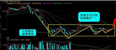 股指期货直播室：期货之家今日行情分享