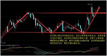 原油期货直播室：国际期货行情与投资策略全