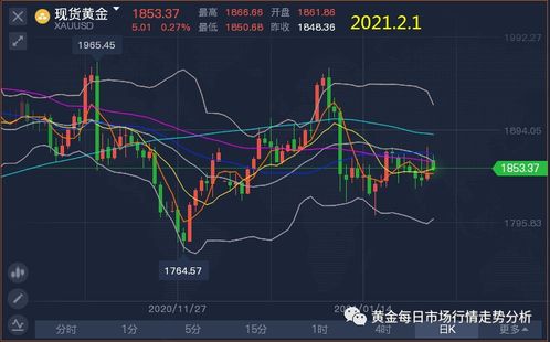 黄金期货直播室：期货之家实时行情与操作策略