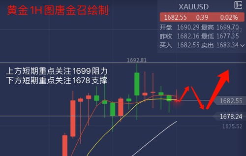 原油期货直播室：华富之声解析全球能源期货趋势