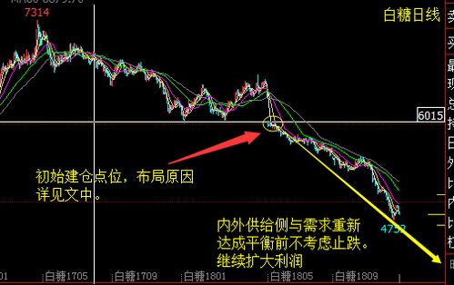 原油期货直播室：原油交易策略与行情分析