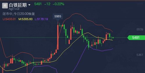 国际期货直播室：每日趋势与操作策略分享