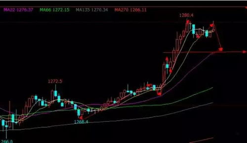 黄金期货直播室：每日实盘操作与投资策略分享