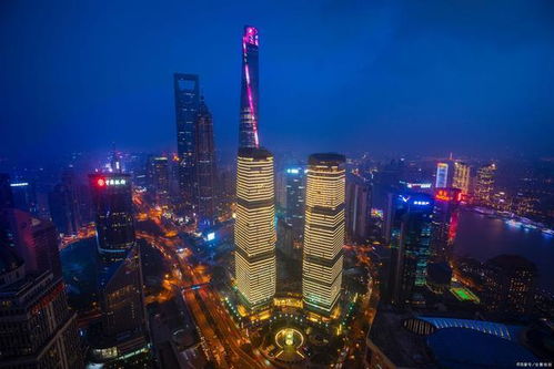 金夜，风起。金市，云涌。