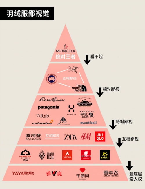德指直播间 | 论一名交易者的「自我修养」：超越图表的知识体系是什么？