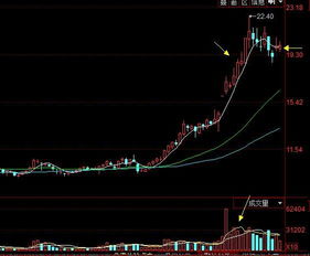 不仅预测下周行情，更想与你共同见证：三年后你的交易账户会是什么样子？