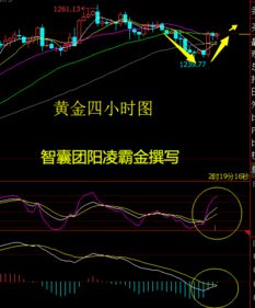 当你对原油走势感到焦虑时：这场直播将为你