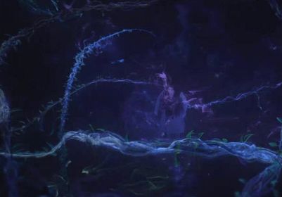 德指夜航：于秩序的大陆，寻找裂痕。