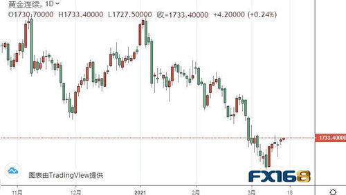 黄金期货直播室：国际行情直击与交易实战解