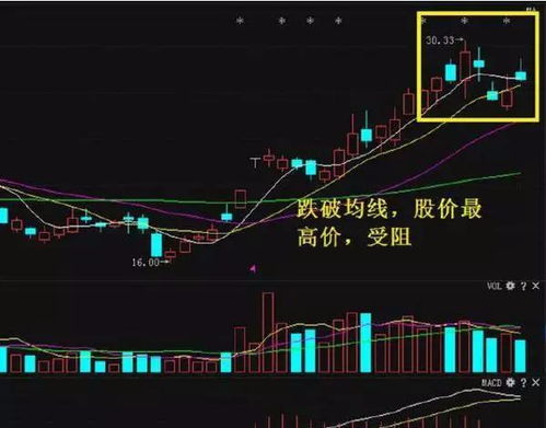 我们交易的究竟是K线，还是自身的“认知偏差”？国际期货直播室·心智博弈