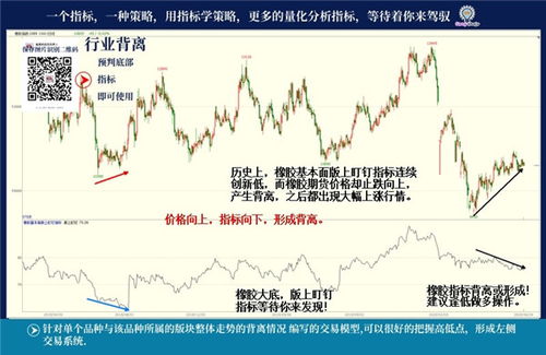 广州农产品期货投资直播｜今日大豆玉米实时解盘 - 国内外策略指导