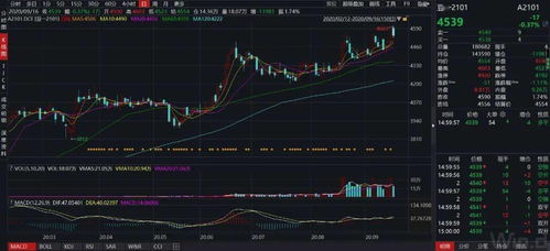 北京农产品期货直播室｜大豆玉米行情实时走势 - 今日盘面解析分享