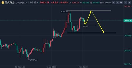 上海黄金期货直播室｜今日行情实时走势解析 - 国际投资策略指导