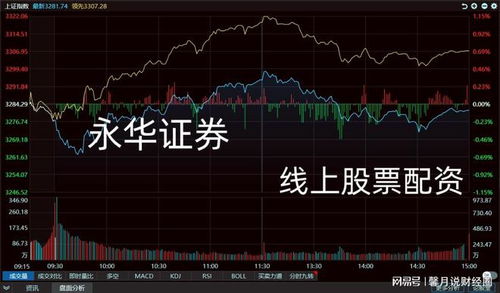 白气市场多空博弈：谁在押注未来？