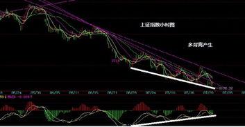 今日盘中交易机会直击，今日股市盘前必读
