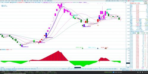 技术指标应用案例直播，技术指标都有哪些应用方法