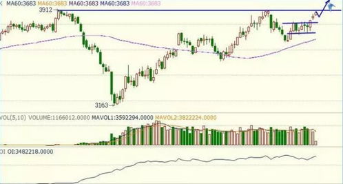 专业期货直播｜盘中走势分析｜黄金原油股指