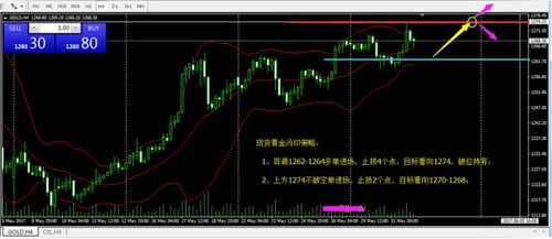 实时期货直播｜盘中走势分析｜黄金原油股指