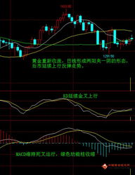 银市投机资金活跃 推动短线行情，投资银价格