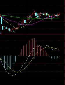 从基本面到技术面，全方位拆解期货投资逻辑。