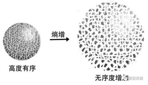 用物理学中的“熵增定律”理解期货市场的秩序与混乱