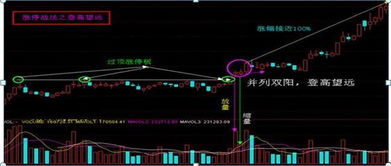 盘中突然跳水，第一反应是砍仓还是加仓？决策树分析