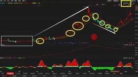 交易系统的“形”与交易理念的“神”