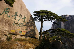 期货修行：从“看山是山”到“看山还是山”的三重境界