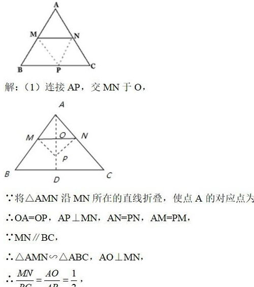 _肥尾效应_下的期权策略保护：不只是买看跌期权