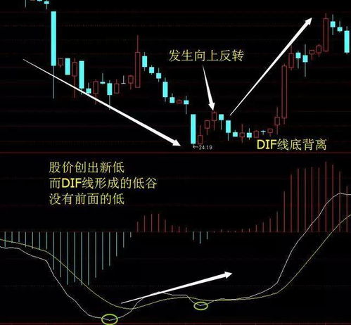 当不同周期指标冲突时，如何做出最终决策？