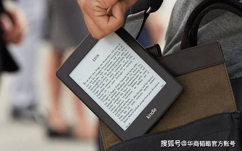 交易中的「幻觉」：为什么你总感觉主力在盯着你的那几手单子？