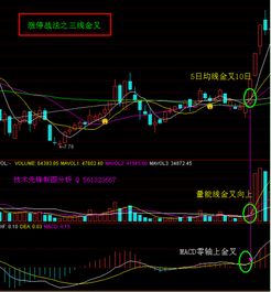 当盈利变成恐惧：如何克服「拿不住单」的人性弱点？