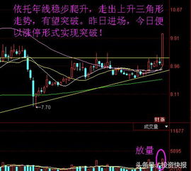 站在2025年的门口：布局未来，哪些期货品种可能成为新龙头？