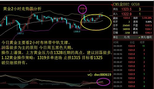 “压力测试”你的策略：如果黑天鹅再现，账户能扛住吗？
