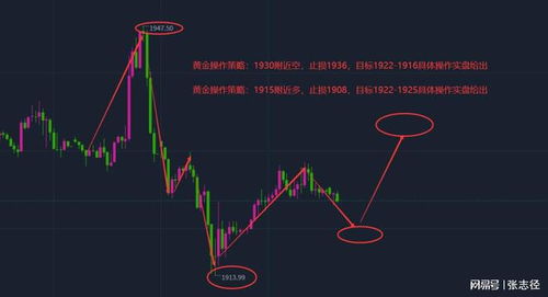 国际期货直播平台｜实时行情解盘与实战操作指导