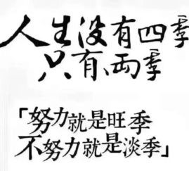 允许自己错过：在黄金大行情中，为何“不做”比“做”更重要？