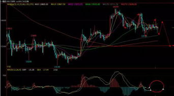 粉丝专属：跟上节奏，上周螺纹钢策略成功捕
